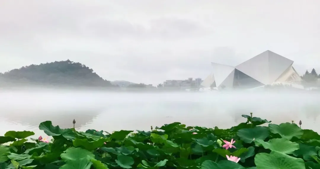 浙江科技学院2022年艺术类招生章程