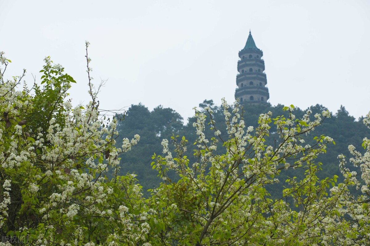 高三百日誓师大会教师学生誓词