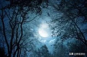 抒情散文《月圆之夜》