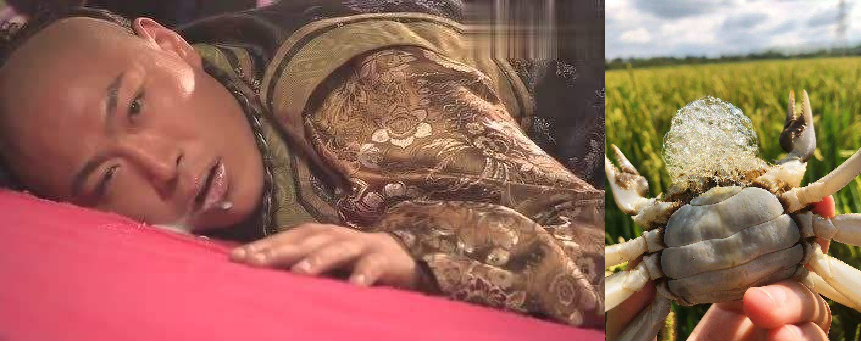 一种消亡的神秘古语，竟然还残存于江浙话里——吴语中的古越语