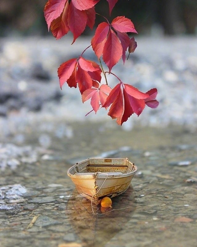 活出自己的人生金句，字字千金，富含哲理