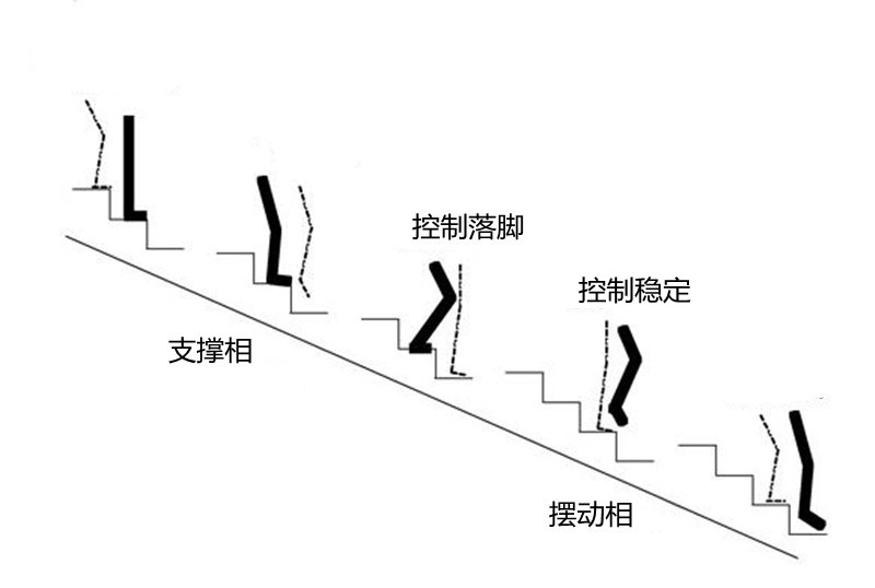 上楼梯没事，下楼梯腿发抖，医生告诉你为什么