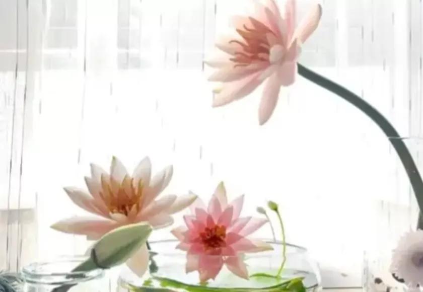 《增广贤文》中有关处世态度的10句话