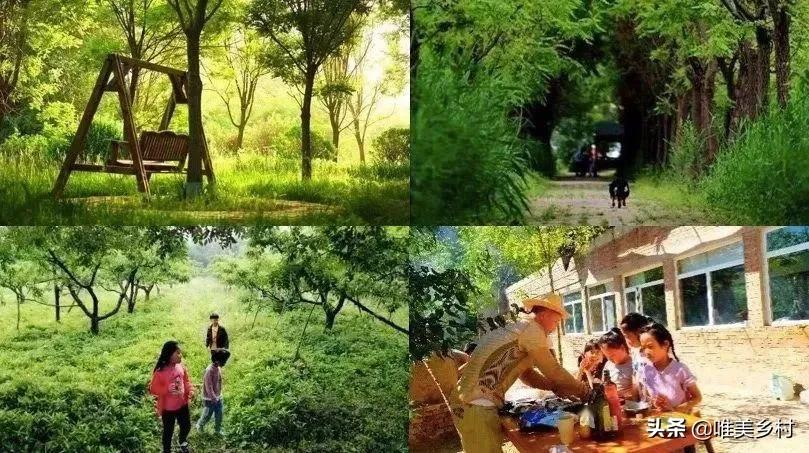 家庭农场、休闲农业植入“亲子”业态，如何与市场对接？五大技巧