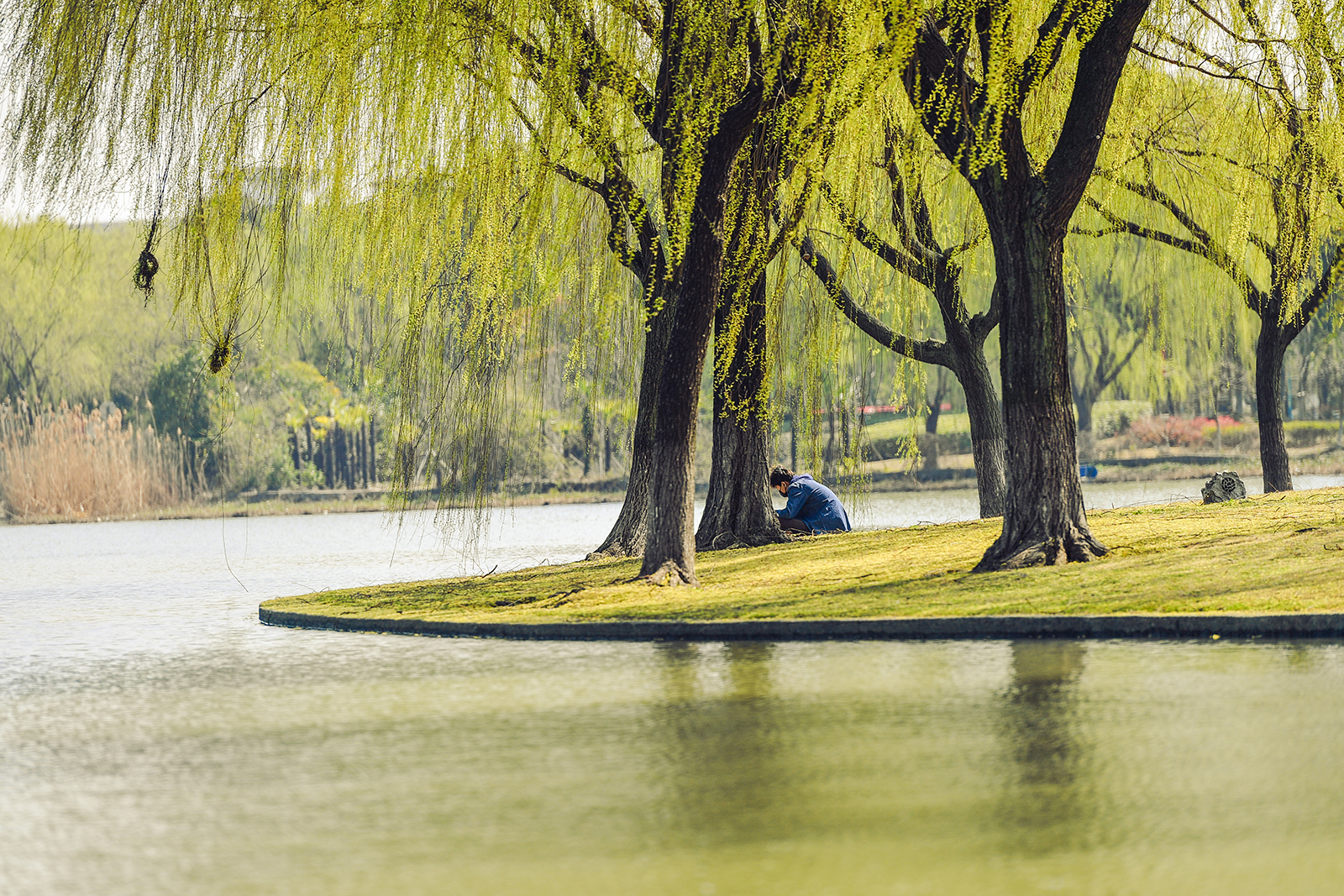 22省统考+10省地区校考，东华大学2022年美术类专业招生497人