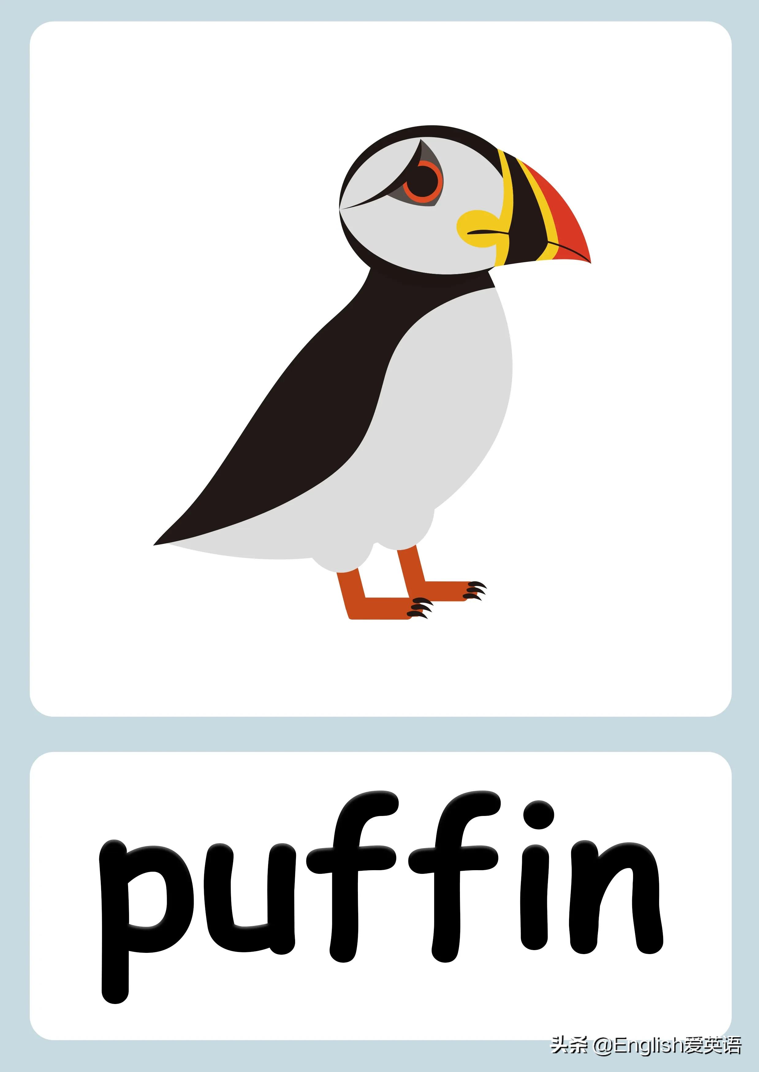 大人都喜欢的英语启蒙视频 上百个视频81个文件 附Flashcards可打印