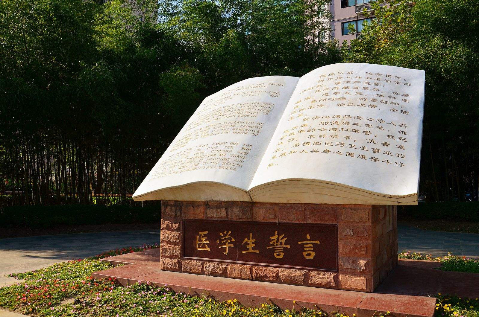 复旦再现女神学霸：4篇SCI，奖学金拿到手软，科研实力超群绝伦