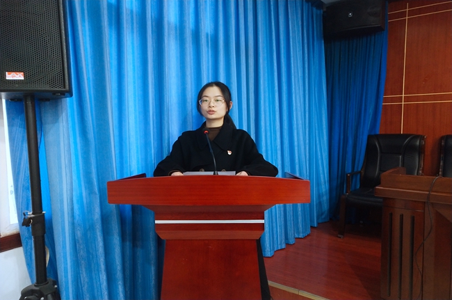 镇巴法院党支部深入学习贯彻党的十九届六中全会精神