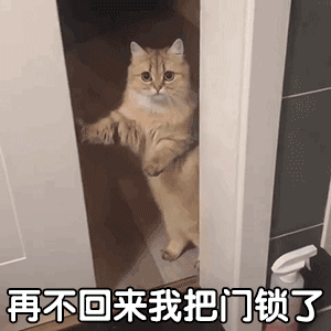 抖音热门表情包原图