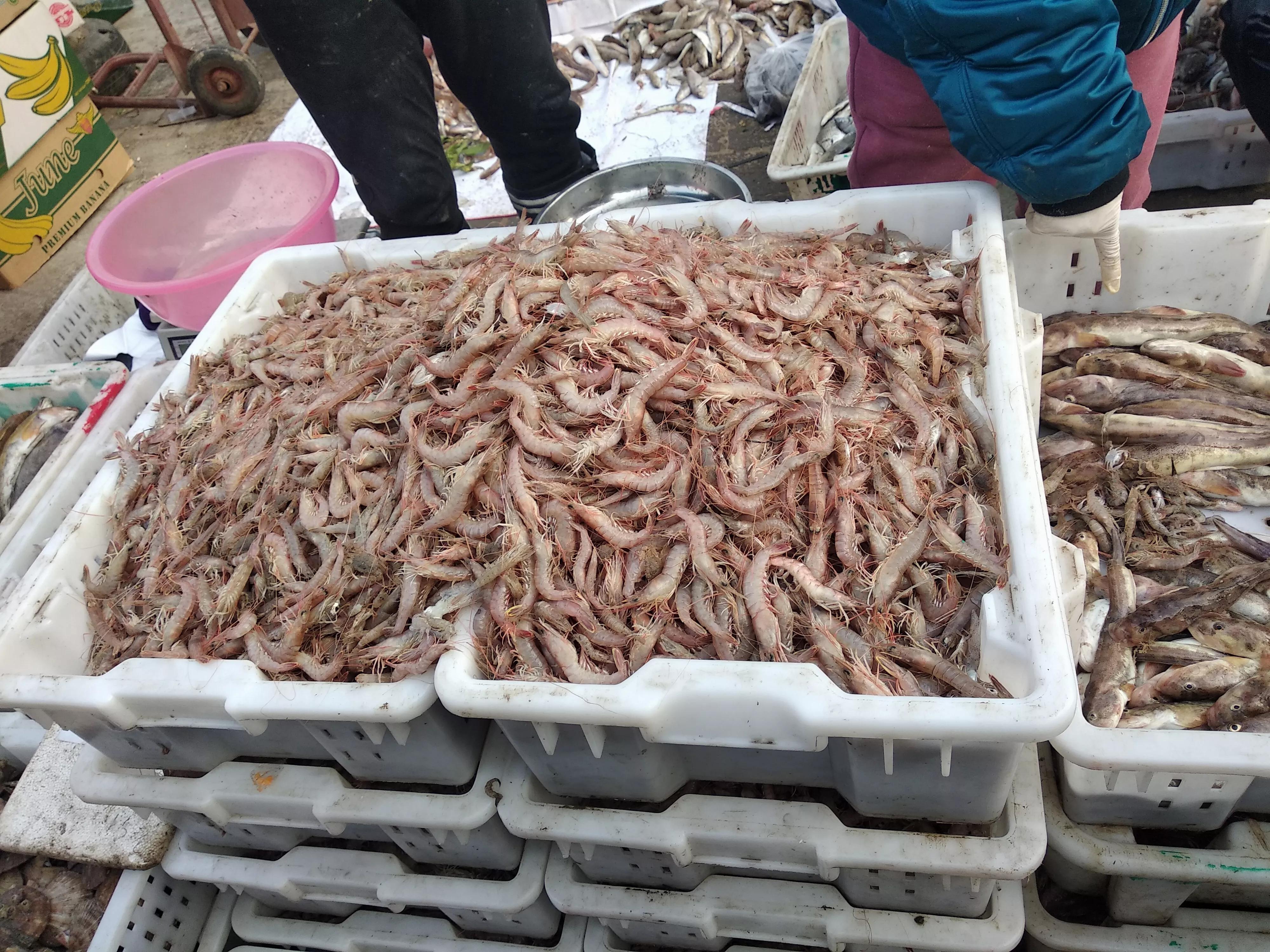 冬天,胶东沿海最著名的10种海鲜,全吃过的肯定是地道胶东人