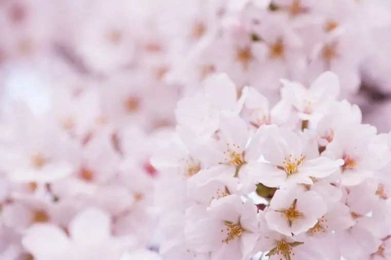 《年月日》——基于教学评一体化的课例设计