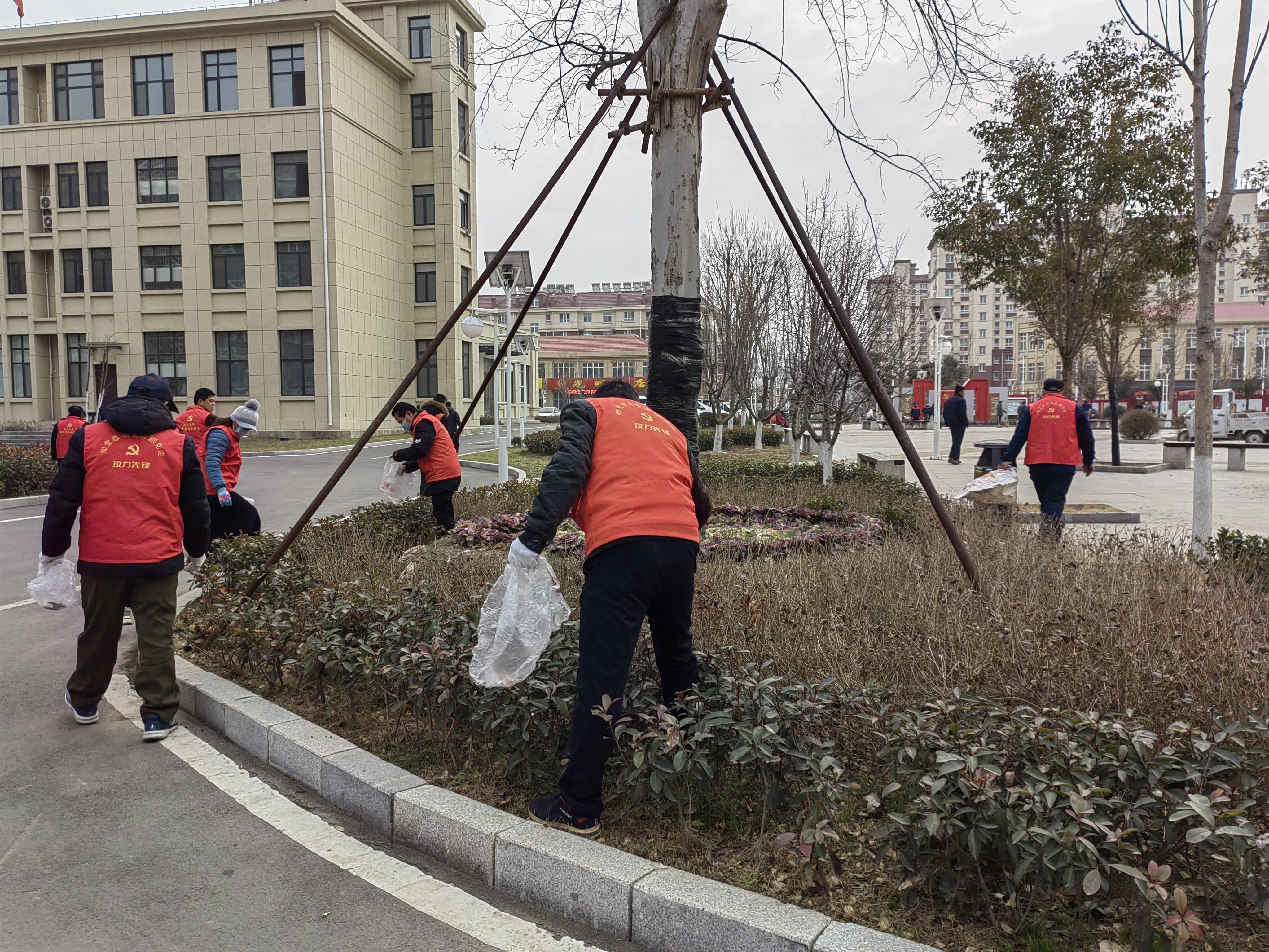 山东省济南市平阴县玫瑰镇：人居环境大整治 整洁靓丽迎新春