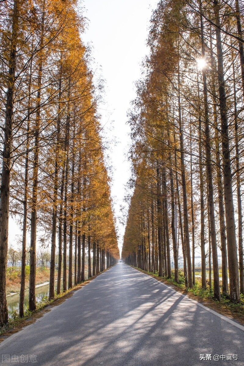 喜报！湖北九地入围国家级名单，将获得中央财政支持