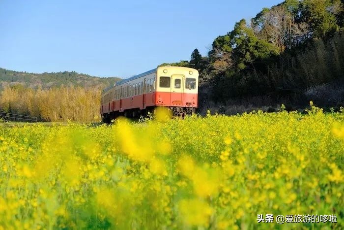 日本12处“零差评”宝藏旅行地，速度mark