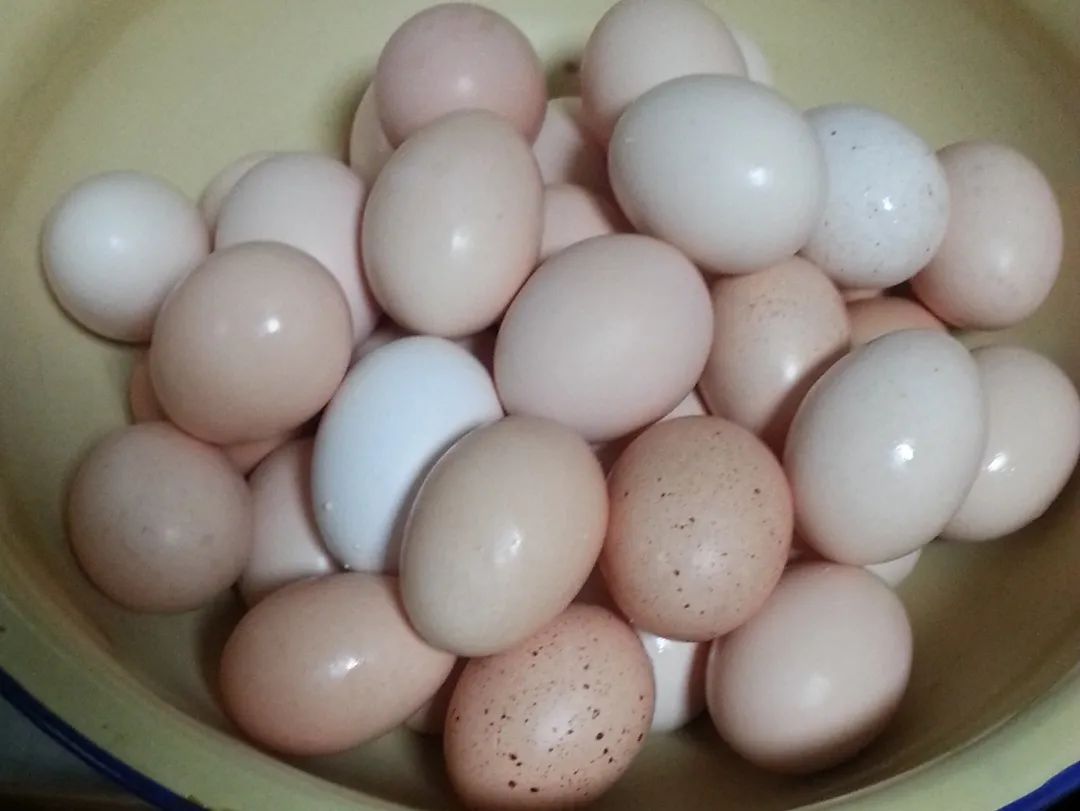 三步咸鸭蛋！沙子里出油还不咸，半个月就可以吃了。