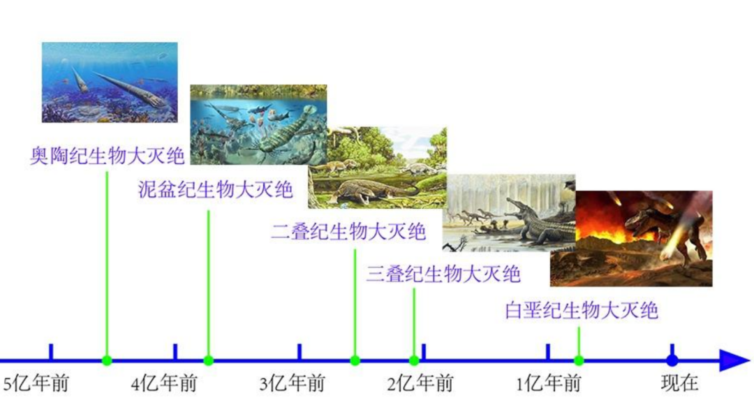 恐龙称霸地球前，地球的统治者有谁？科学家给出答案