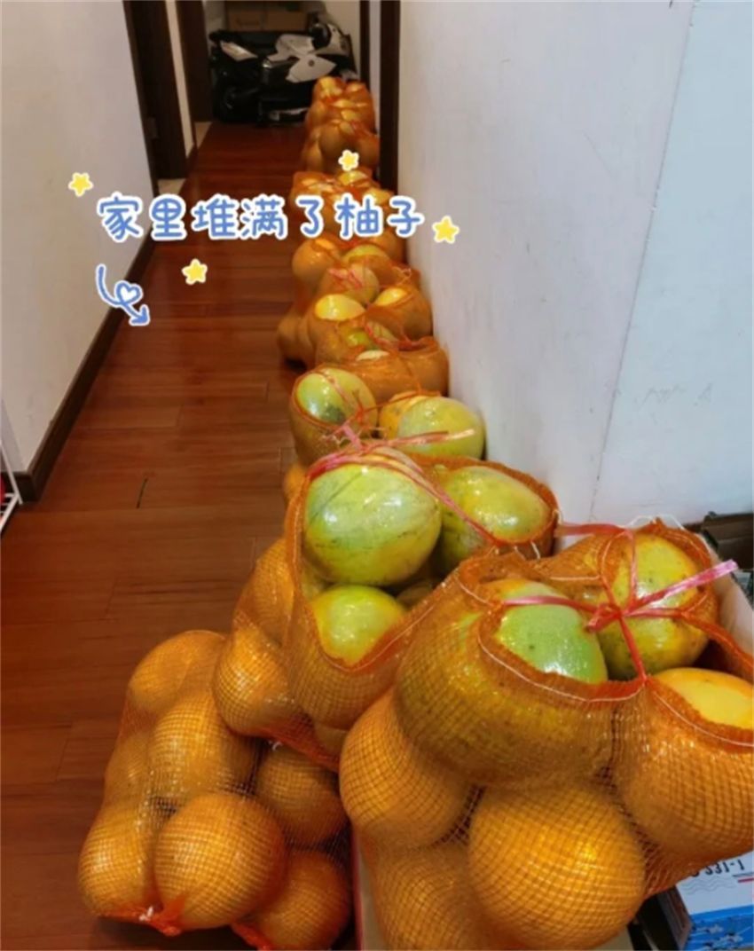 说句实话：网上这4种超火的除甲醛妙招，一个都不靠谱！别被坑了