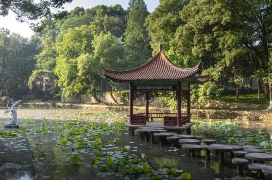 这所大学“真豪横”，设有37个食堂和5个地铁站，是上学还是享受