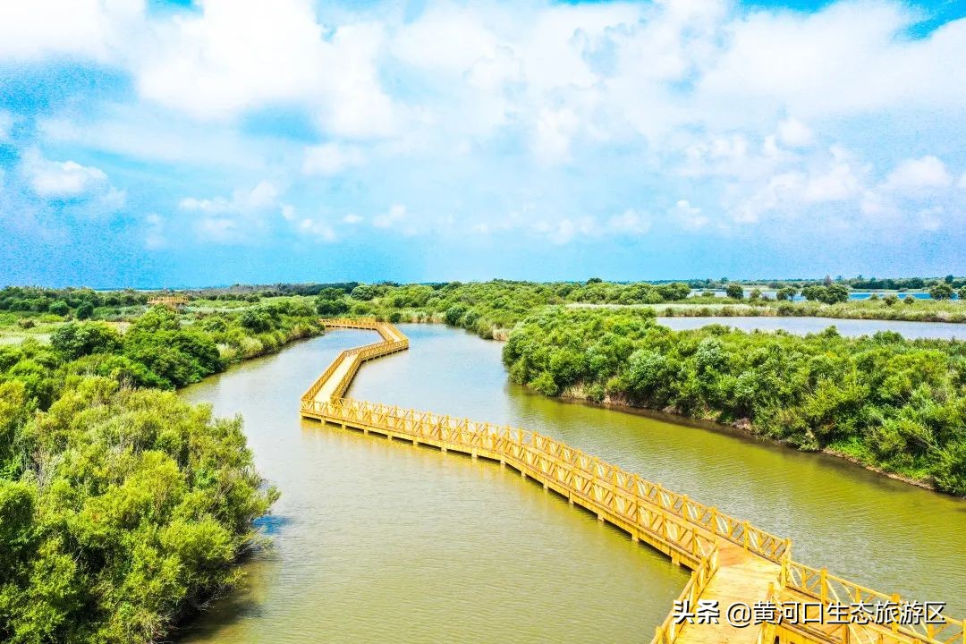 【黄河口生态旅游区】缤纷暑期 这里让你嗨个够！