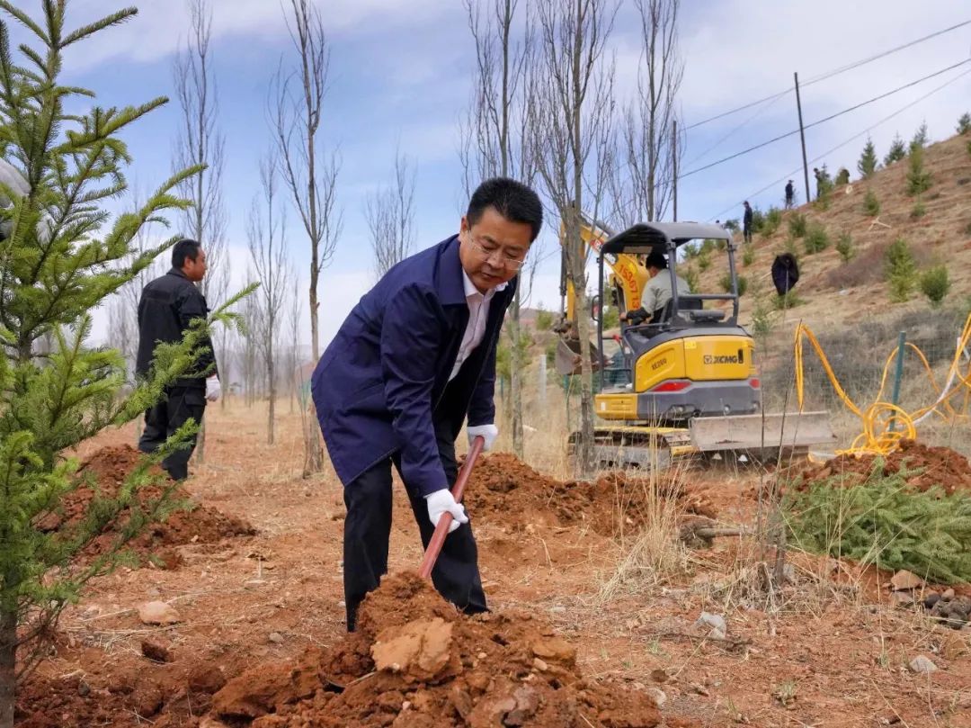 临潭县四大班子领导带头参加春季义务植树活动