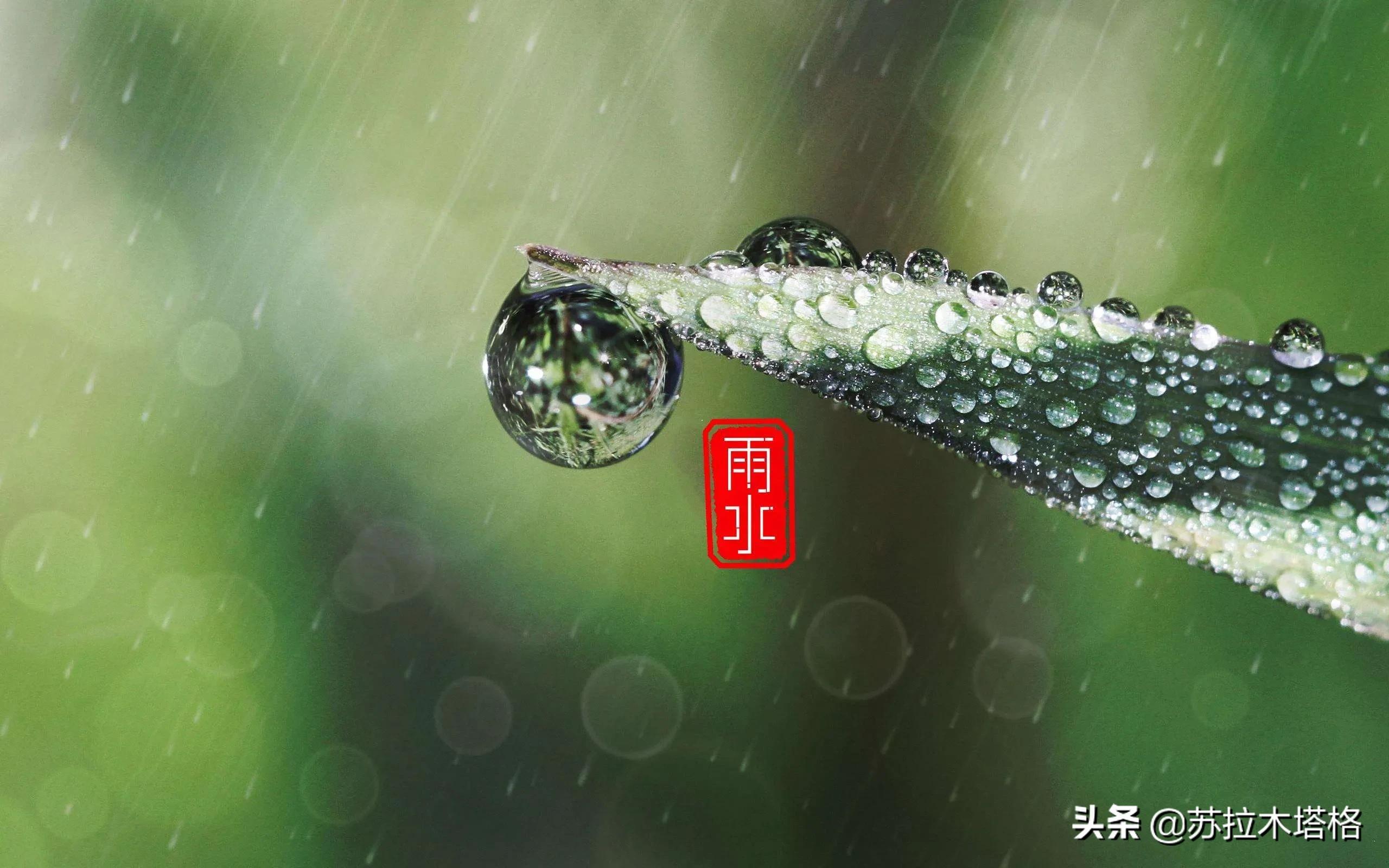 这才是诗歌嘛！六首雨水诗，每一首都令人极其喜爱