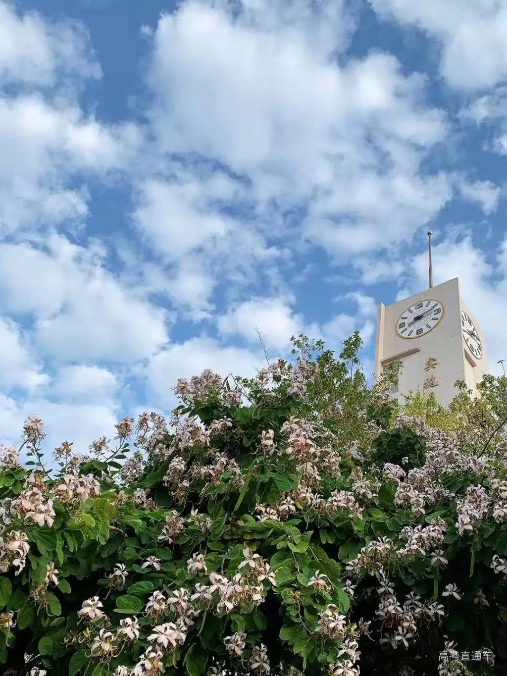 考上这些大学就像被流放？（学思行河北张家口高考志愿填报美术）