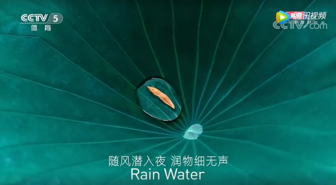 收藏!冬奥会开幕式上14首古诗词都在这里了!