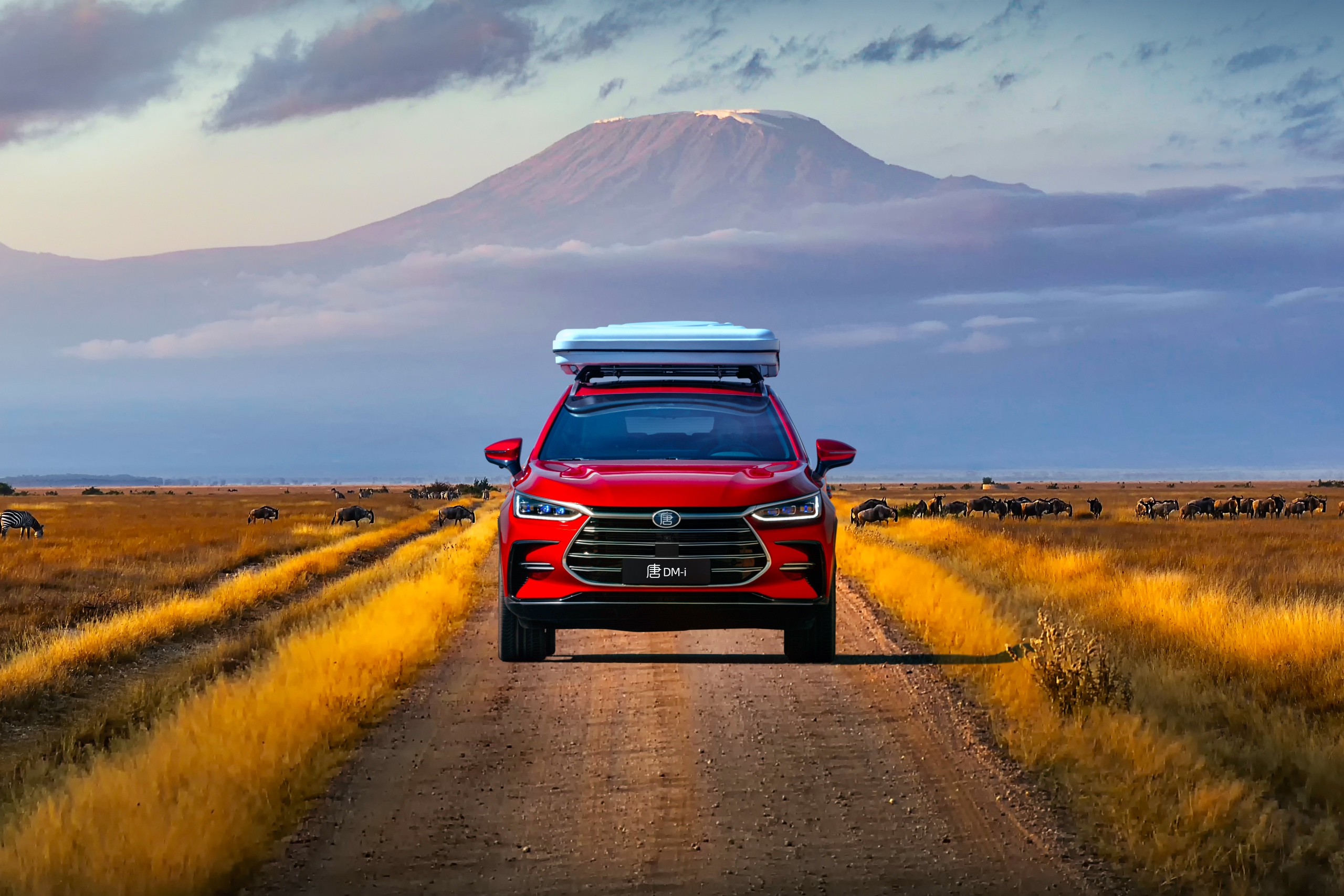 还在观望比亚迪唐dm-i能不能买?现在正是出手最佳时机!_太平洋号