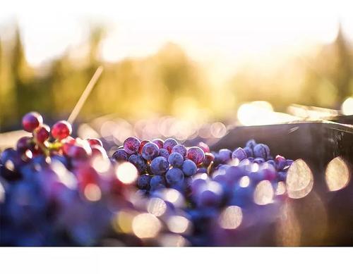 一寸光阴一寸金！高考作文参考范文《时间是试金石》