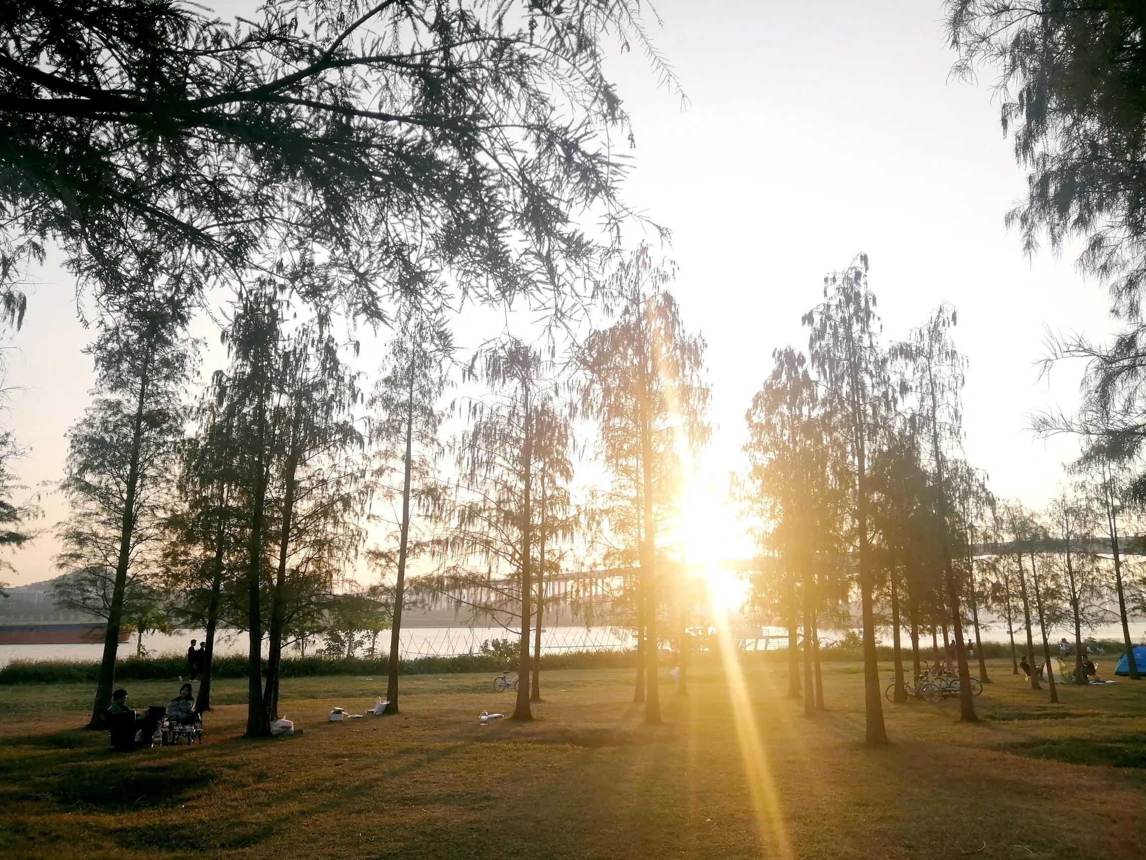 地铁4号线广州大学城一日游，带你体验不一样的大学城风景（A篇）