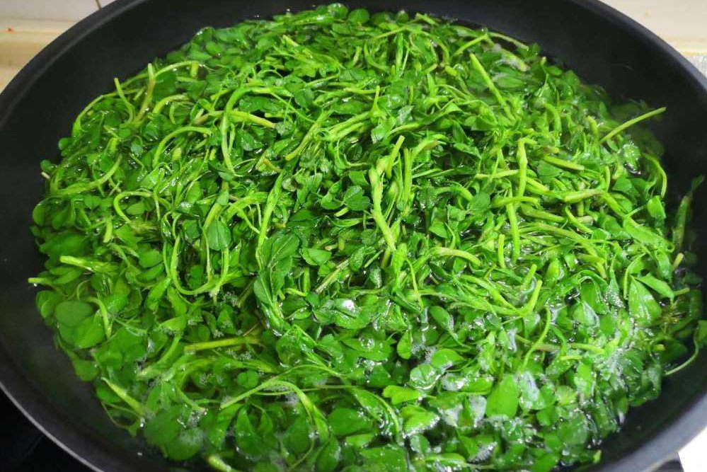 蔬菜保鲜：别直接放冰箱，分享4种蔬菜保鲜法，放一年都不会坏