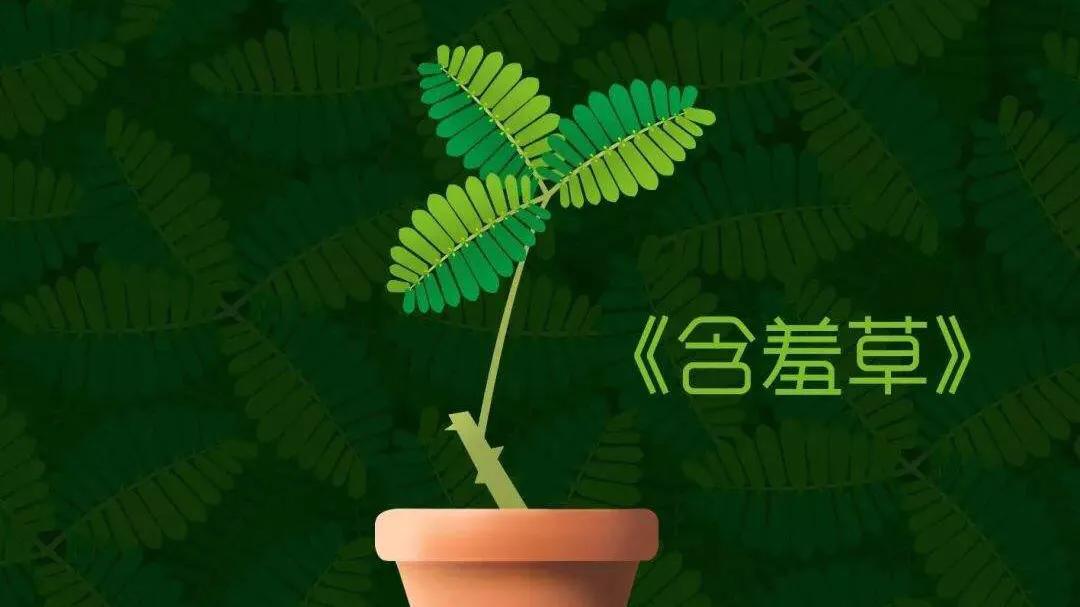 三年级下册第一单元《我的植物朋友》学生范文