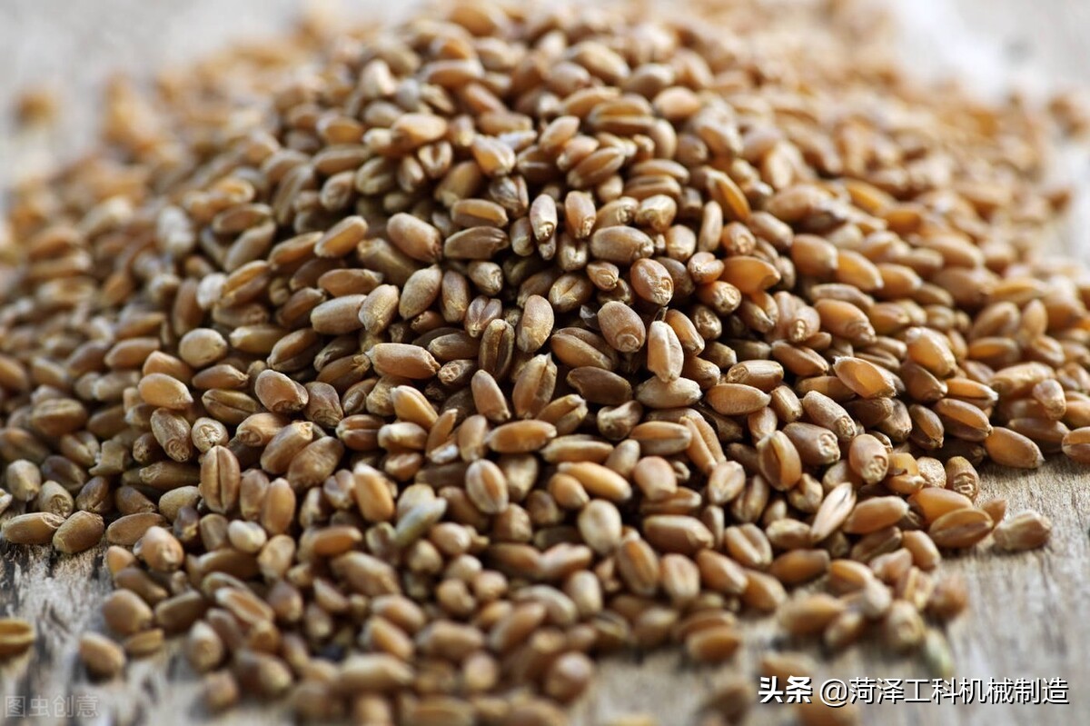 黑麦脱皮机黑麦仁加工设备黑色小麦脱皮机