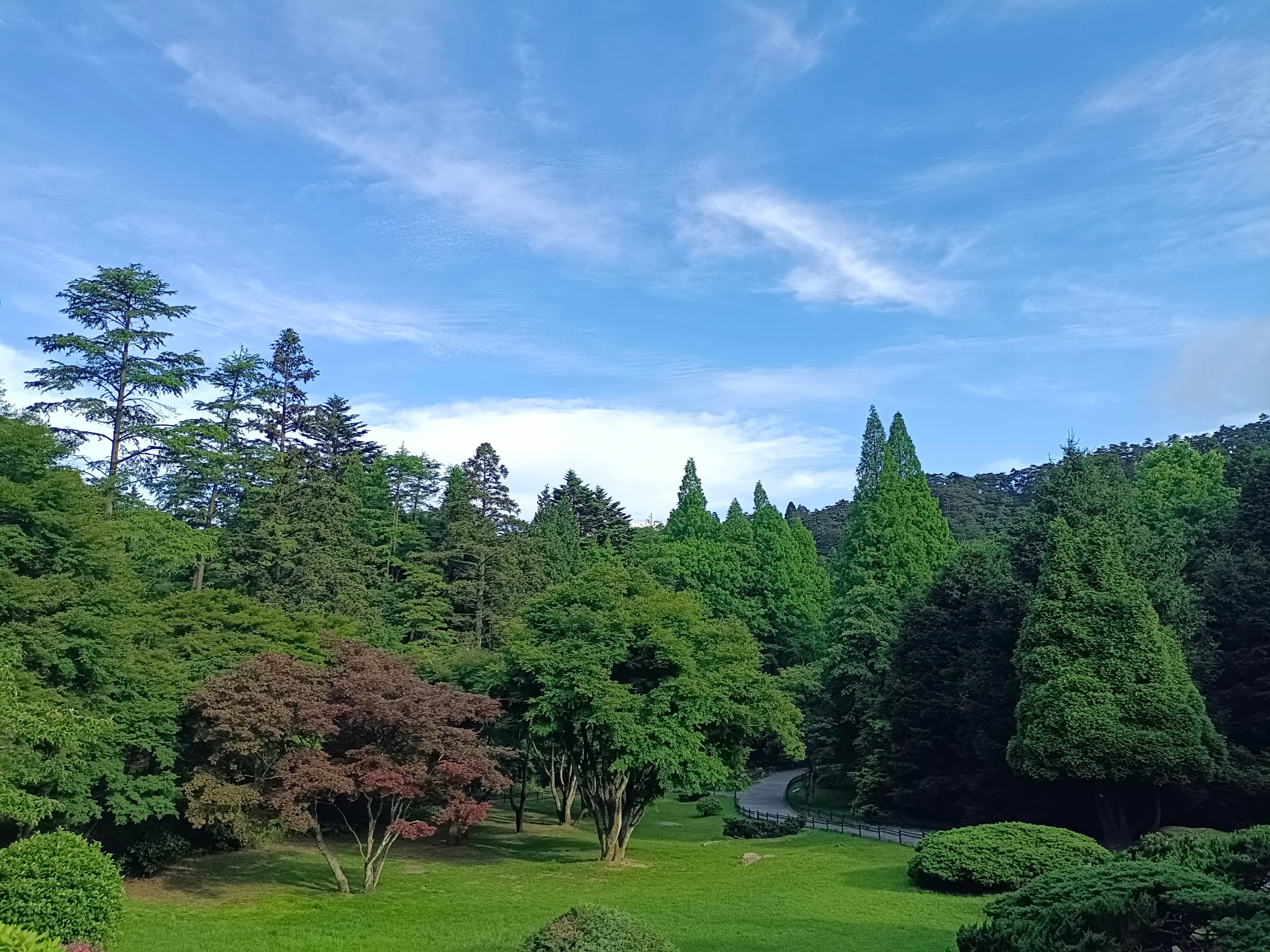 庐山植物园游园随笔,缅怀三老和陈寅恪大师