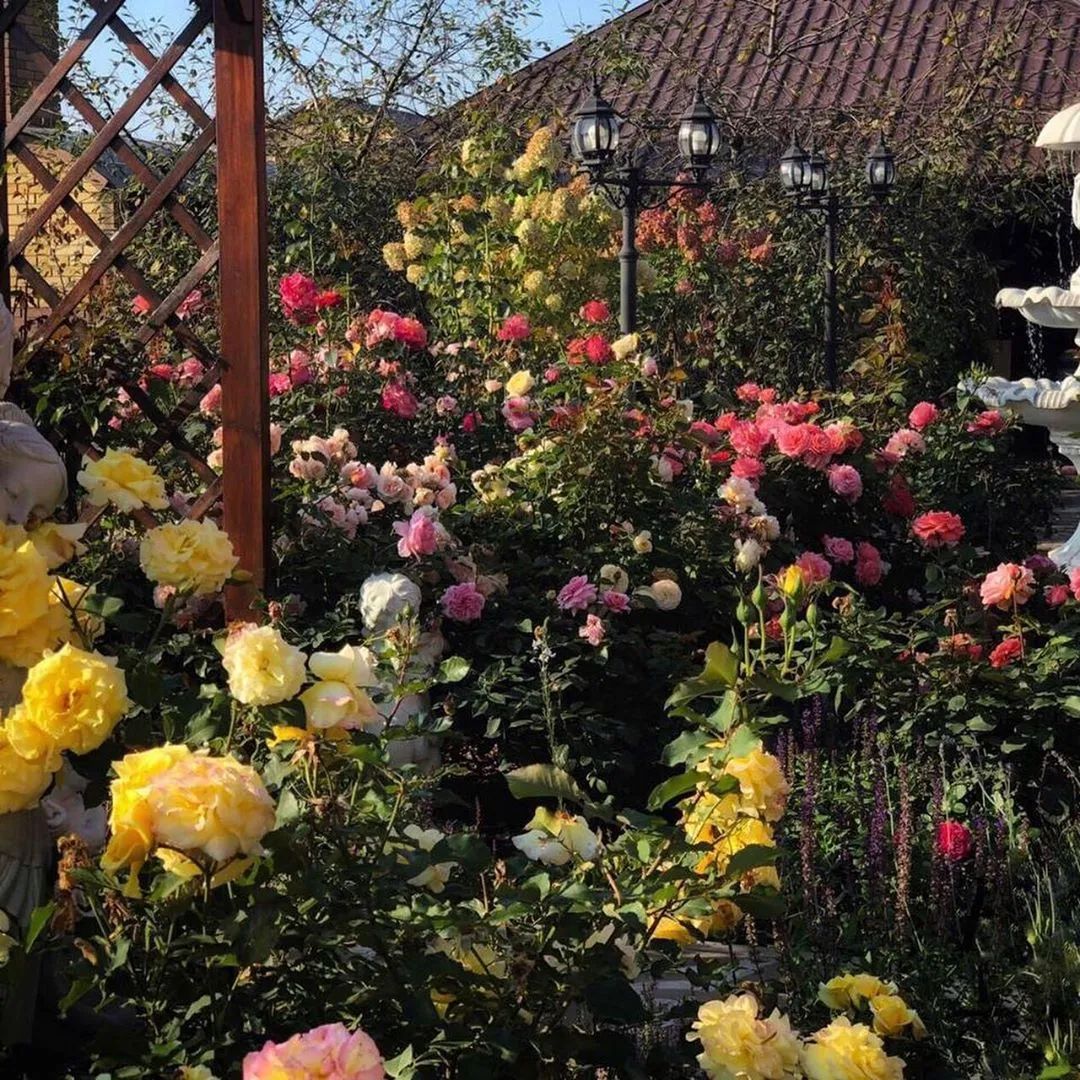 25种花境设计，让生活更美好，你最喜欢哪种？