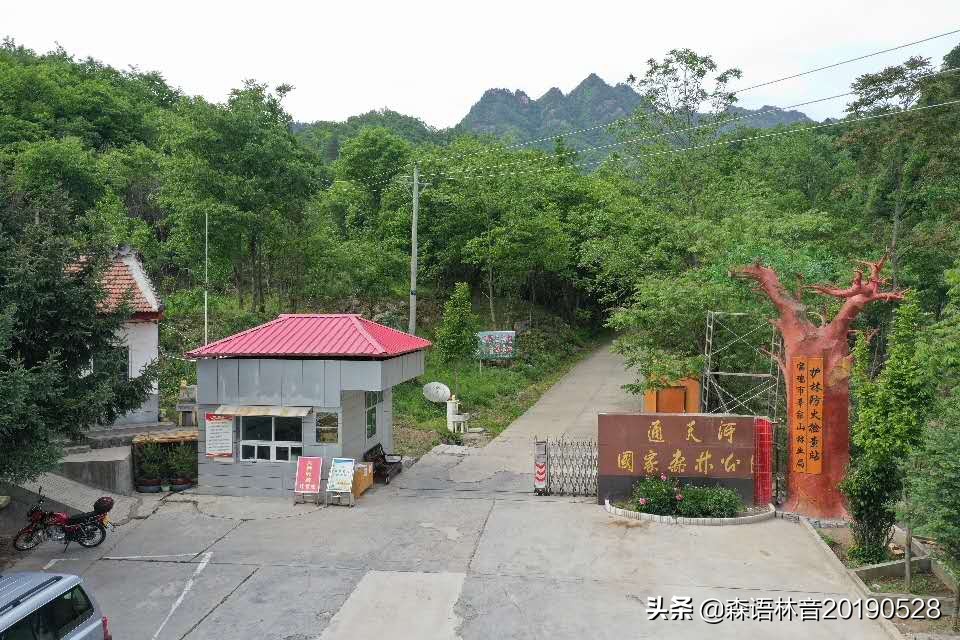 烟雨通天河 丹青水墨画——送你一个夏天“趣”通天河的理由