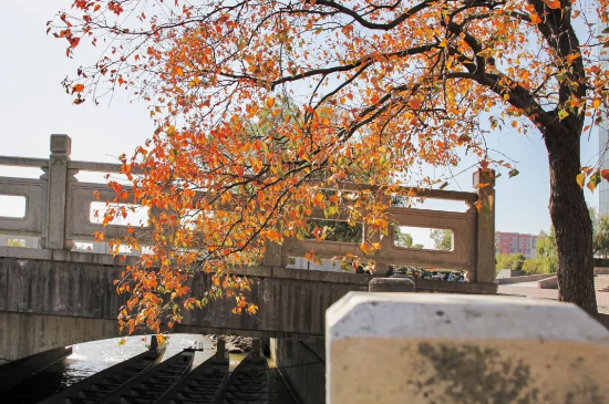 国家卫健委等六部门出台文件，这类医学人才获支持，就业前景广阔！