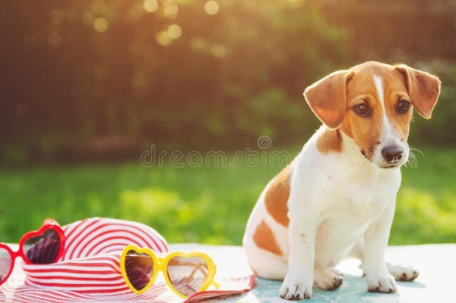 为什么老年人身上会长老年斑？医生建议做好4件事，可以有效改善