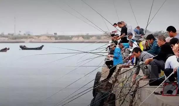 钓鱼:男人的新式"鸦片",为何1.4亿人在这条路上越走越远?