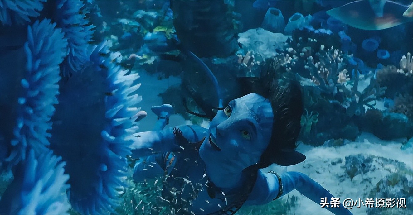 《阿凡达2》72岁女演员扮演主角的女儿？卡梅隆调皮的回应