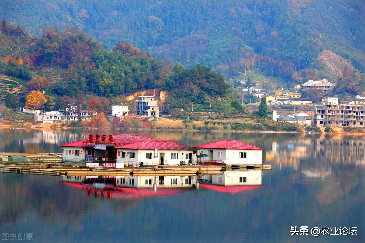 銅陵市惠農(nóng)補(bǔ)貼最新政策2022年：棉花補(bǔ)貼標(biāo)準(zhǔn)是多少？附補(bǔ)貼對(duì)象