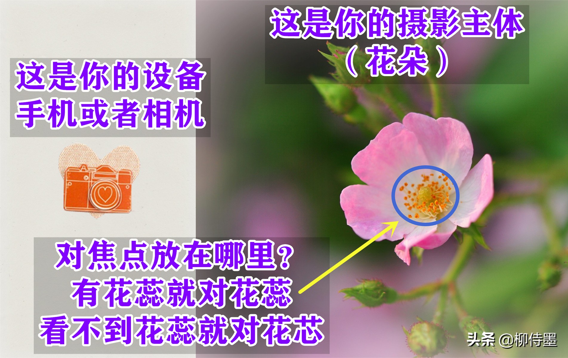 中老年阿姨玩轉(zhuǎn)手機(jī)攝影，照片想要高級感爆棚？一個技巧就搞定
