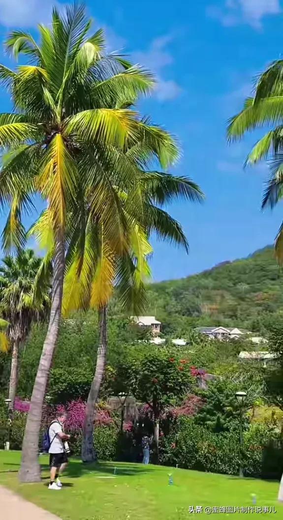 壁纸美图,自然美景如诗如画