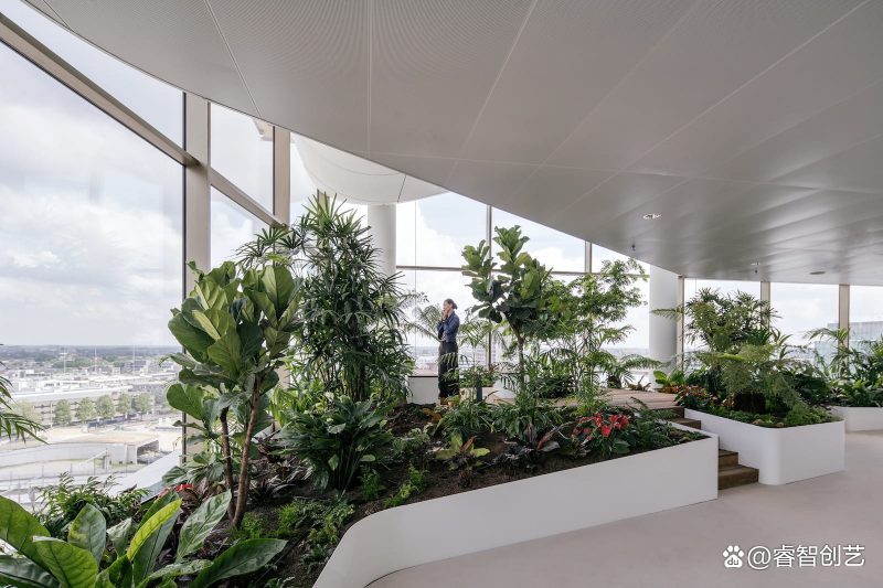 在「森林」中上班——隐藏1500 棵之多植物的荷兰办公楼
