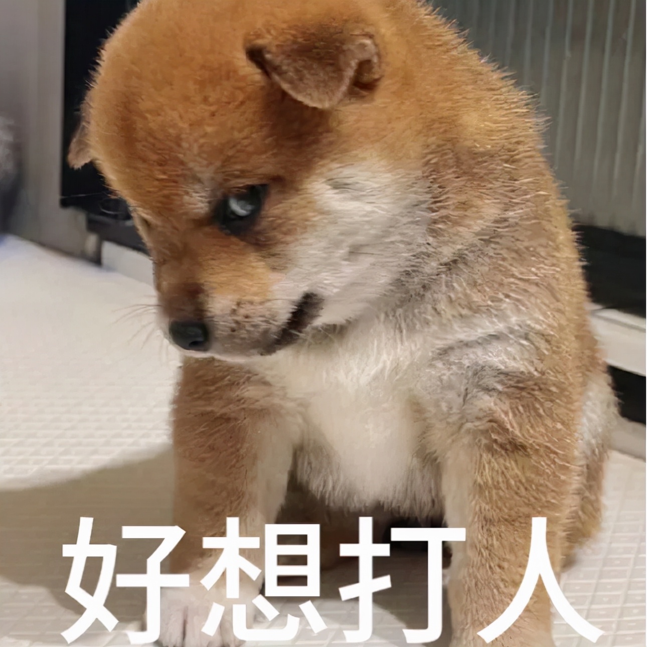 你知道为什么网上的装修配色你家装不出来吗？