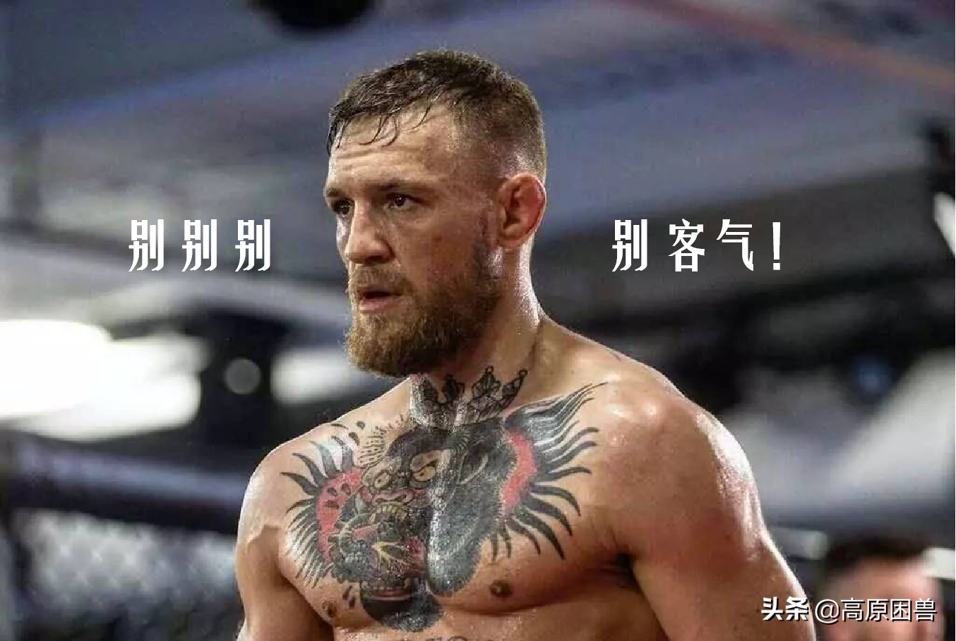 巨人加西亞 史上最壯女鬥士 要打就打男人 點名康納就行 天天好運