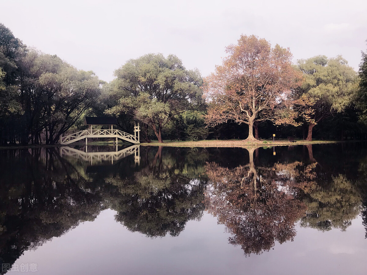 自己的路自己走，只有自己最靠谱