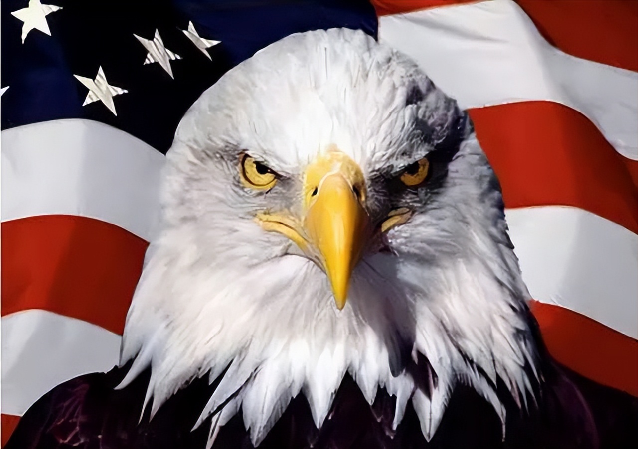 ǿҪļӢպжӶԻҪ޹ʱ