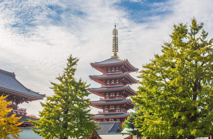 去日本，那么近，那么美（今日介绍日本东京的美景）