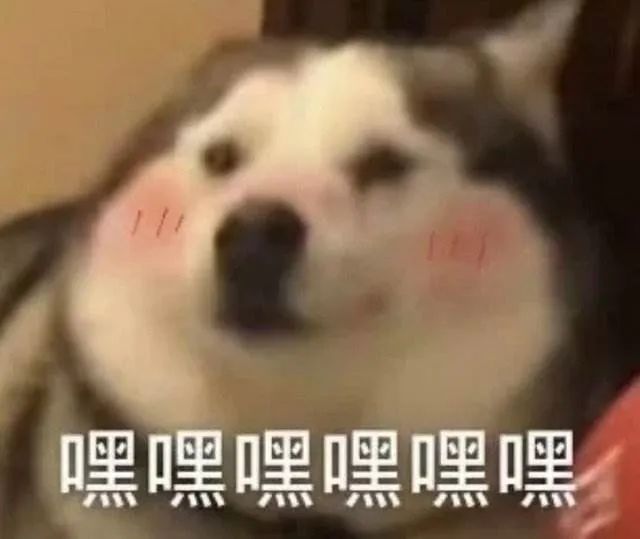 《萌探探探案2》好友团建，时代少年团助阵排面超足